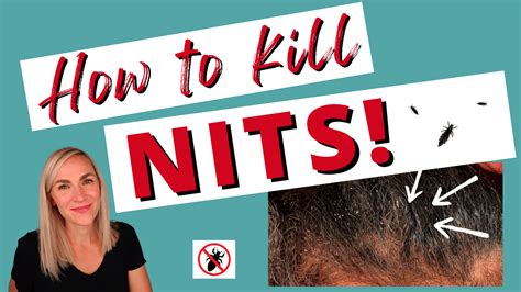 swcup6.nit|how to kill nits.